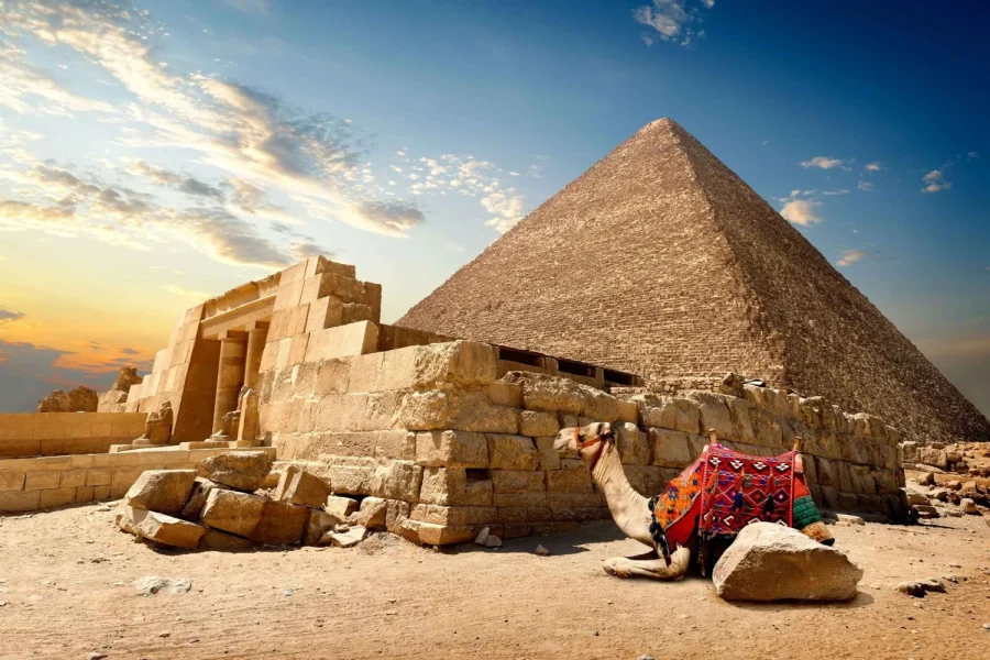 Pyramids & Grand Egyptian Museum