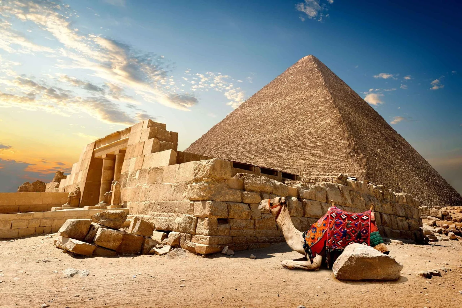 Pyramids & Grand Egyptian Museum