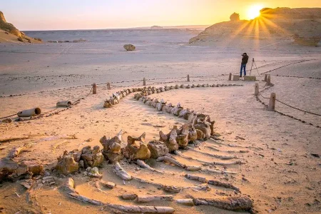 Day Tour to El Fayoum from Cairo.