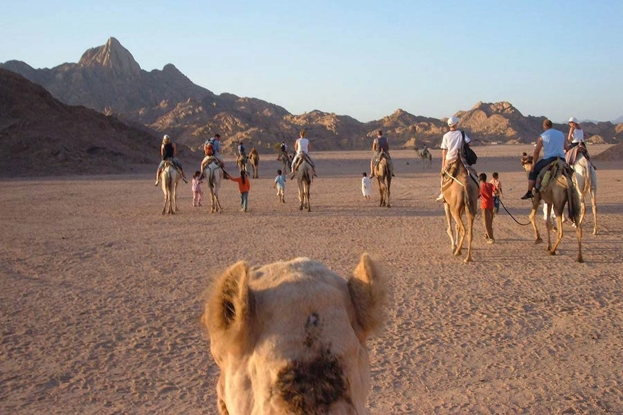 Super Safari Sharm El Sheikh