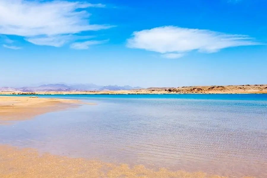 Ras Mohamed National Park Half-Day Tour by Bus from Sharm El Sheikh
