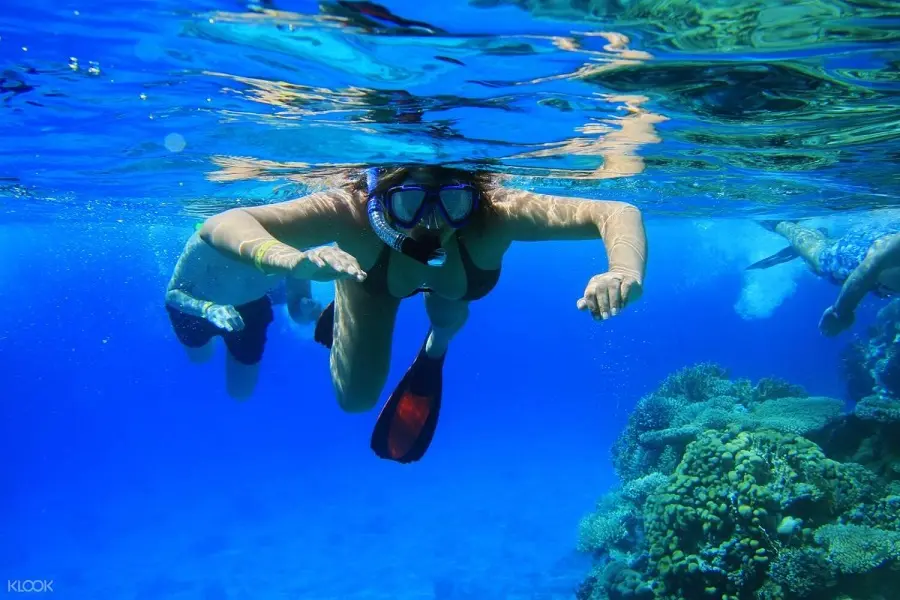 Ras Mohamed National Park Half-Day Tour by Bus from Sharm El Sheikh