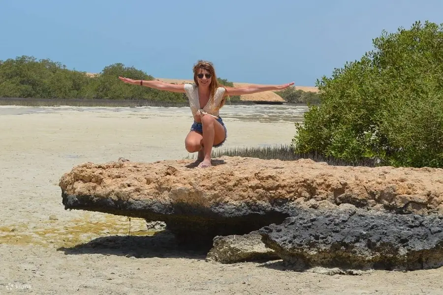 Ras Mohamed National Park Half-Day Tour by Bus from Sharm El Sheikh