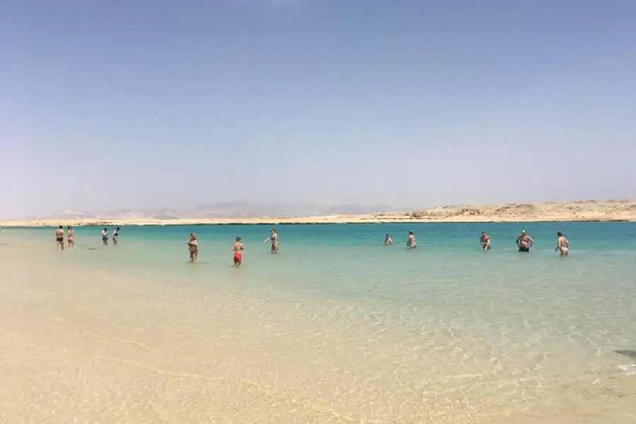 Ras Mohamed National Park Half-Day Tour by Bus from Sharm El Sheikh