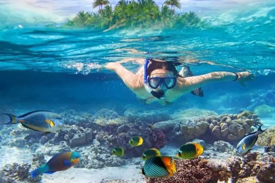 Snorkeling Trip in Hurghada
