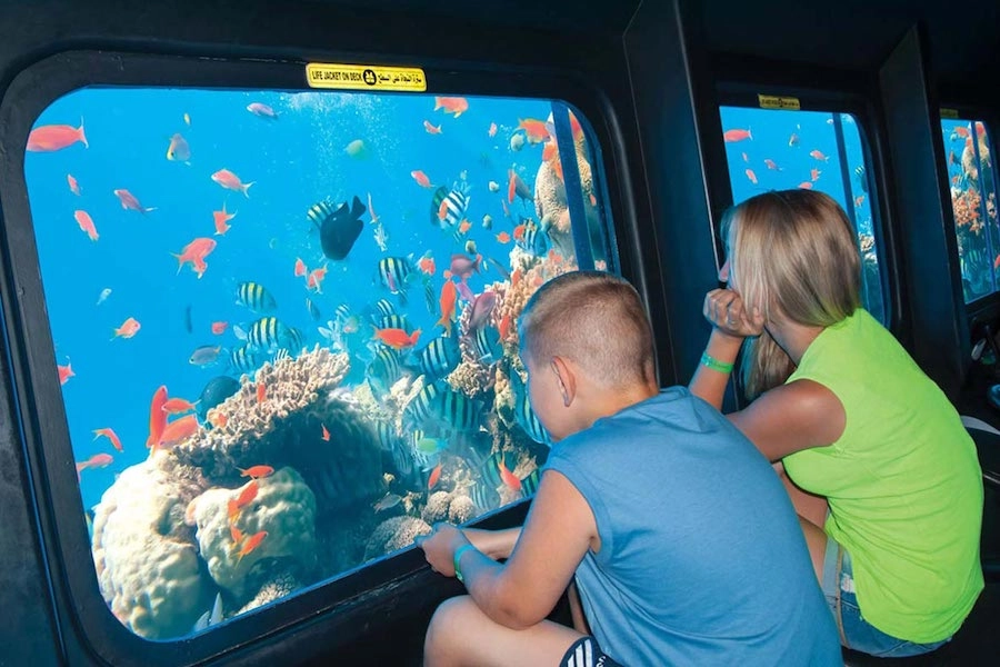 Submarine Sea scope in Sharm El Sheikh