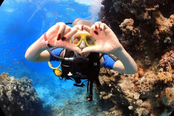 Diving and Parasailing in Sharm el Sheikh