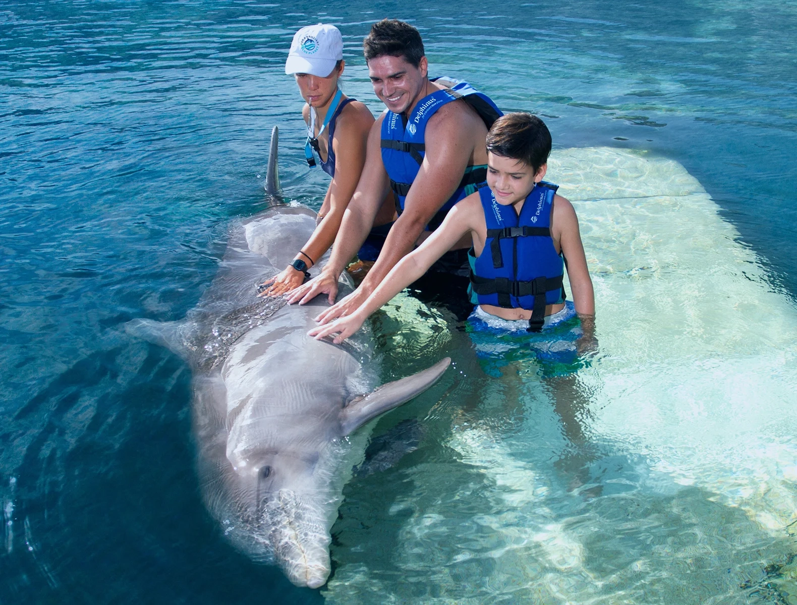 Swimming with Wild Dolphins in Hurghada (05 Min.)