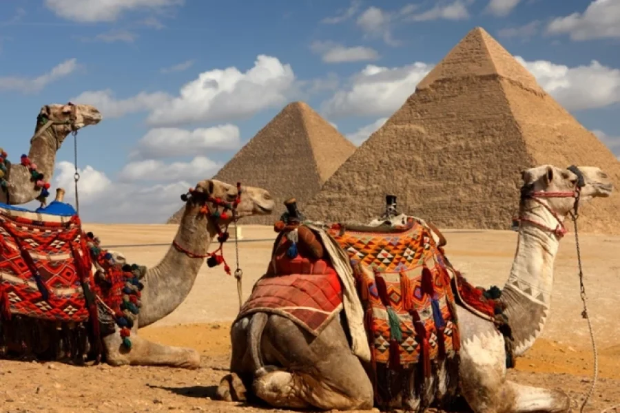 5 Days 4 Nights Cairo (Cheap 5* Hotel)