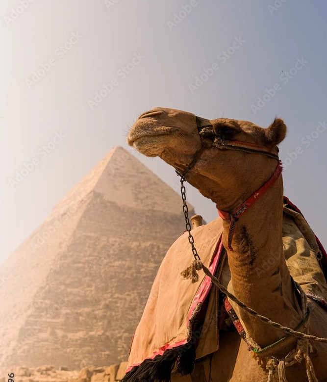 5 Days 4 Nights Cairo & Hurghada