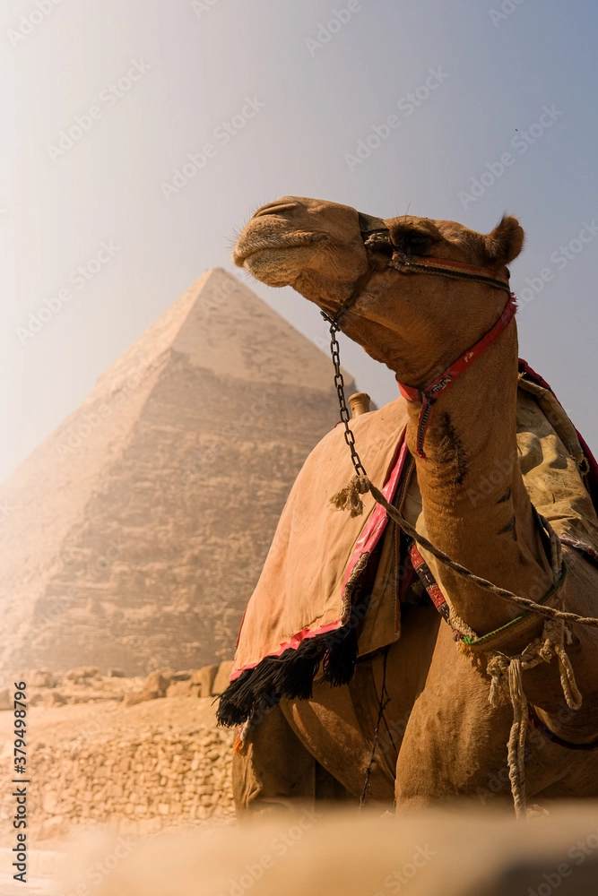 5 Days 4 Nights Cairo (Cheap 4* Hotel)