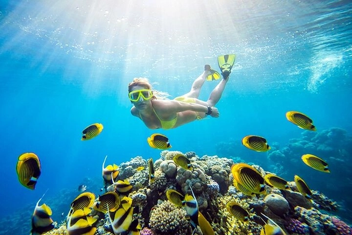 Private Snorkeling in Hurghada.
