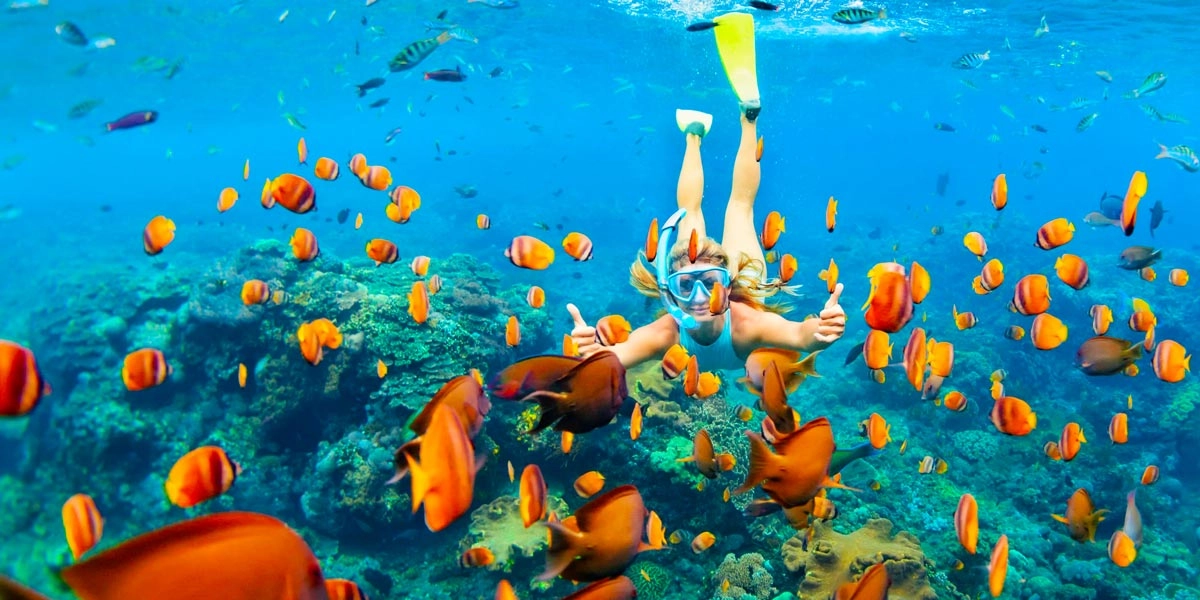 Private Snorkeling in Hurghada.