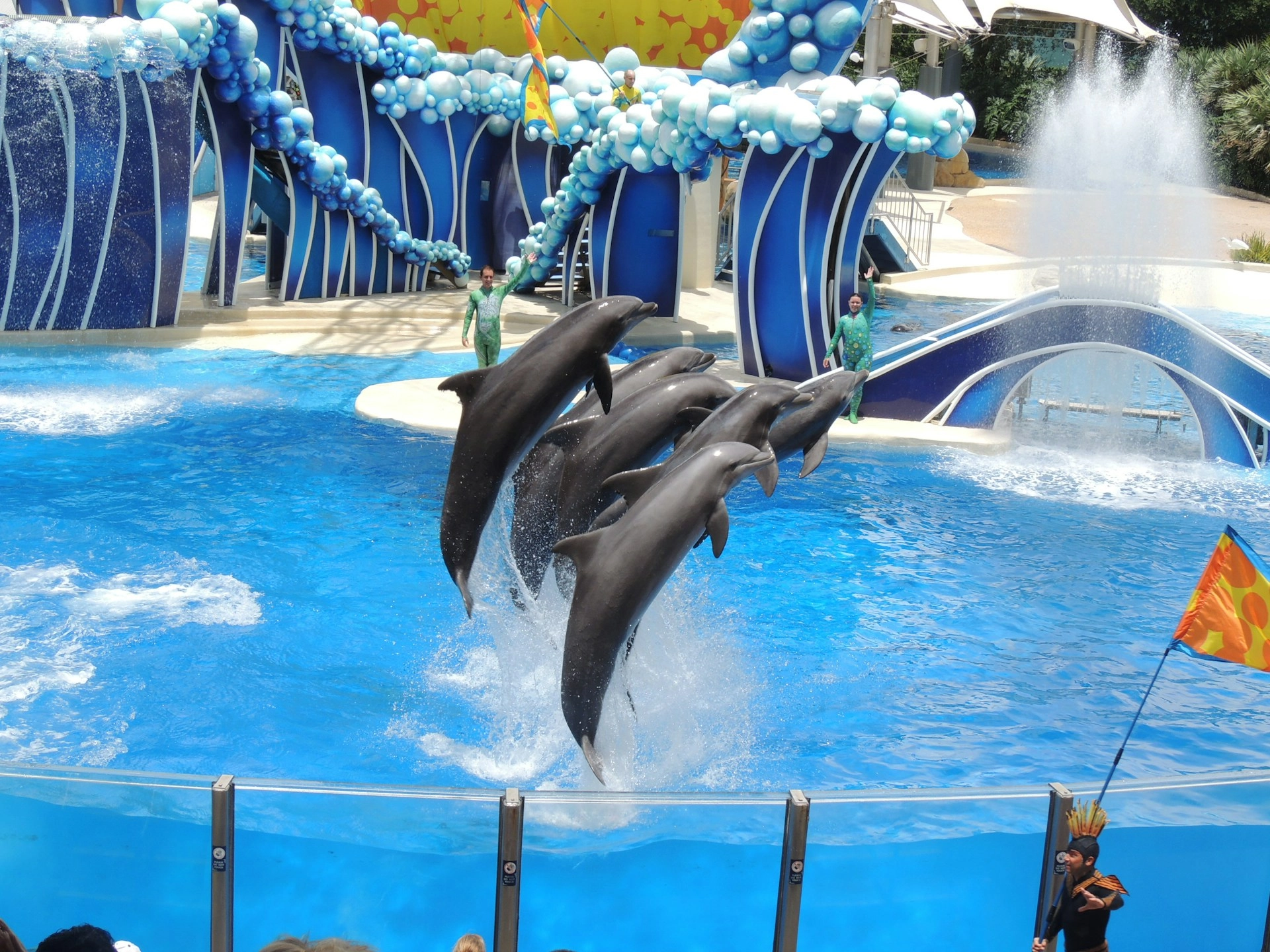 Dolphin show hurghada.