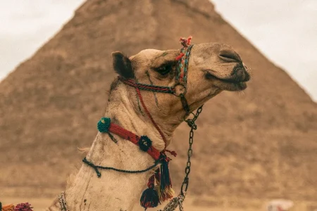 Private Day Trip to Cairo from Hurghada by Car.