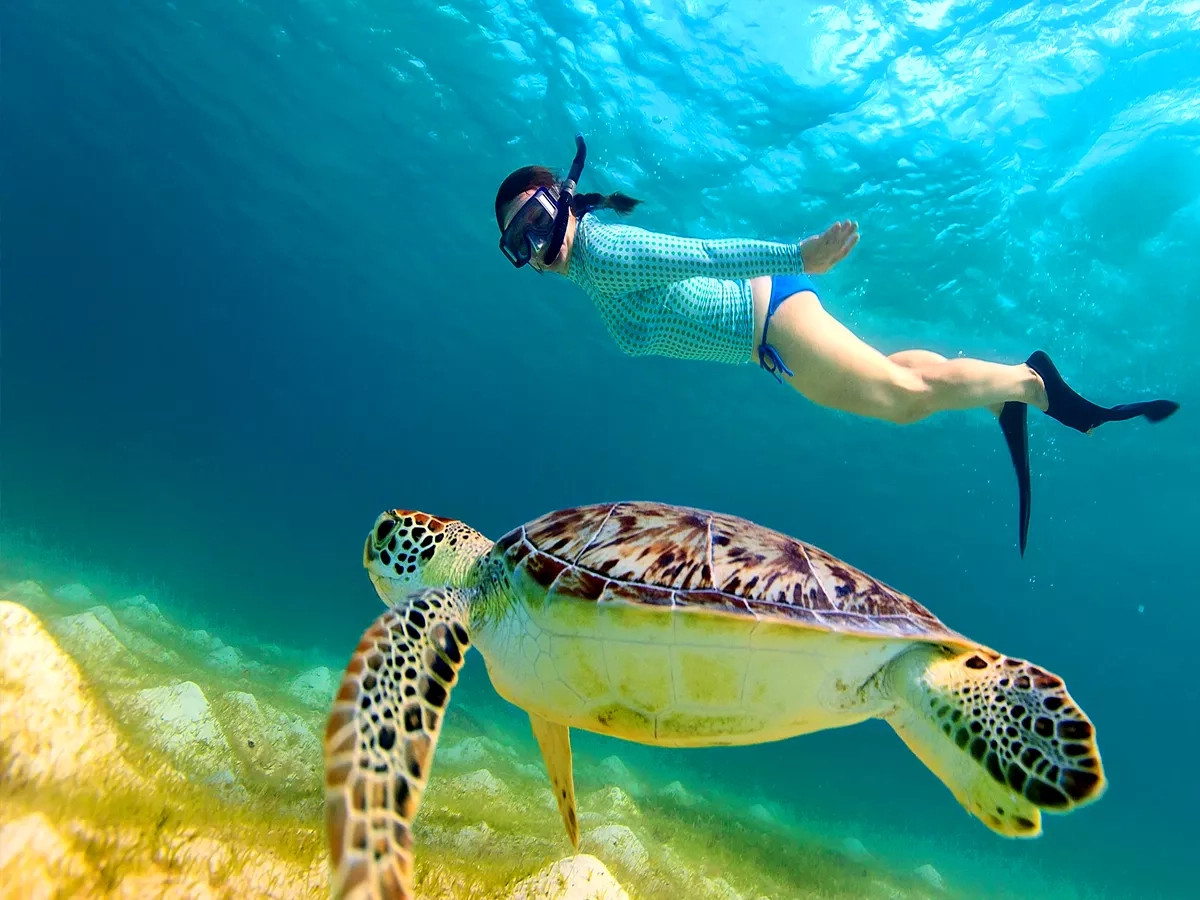 Private Snorkeling in Hurghada.